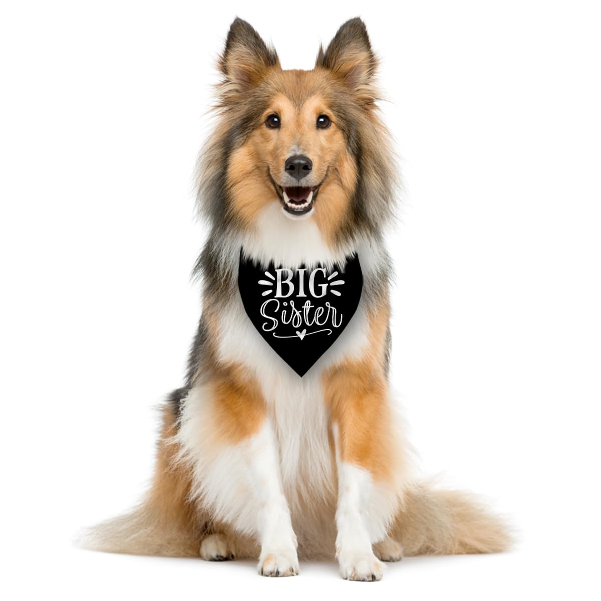 Big Sister Bandana for Dogs, Pet Pregnancy Announcement, Black Dog Bandana, Dog Bandanas for Large Dogs (L)