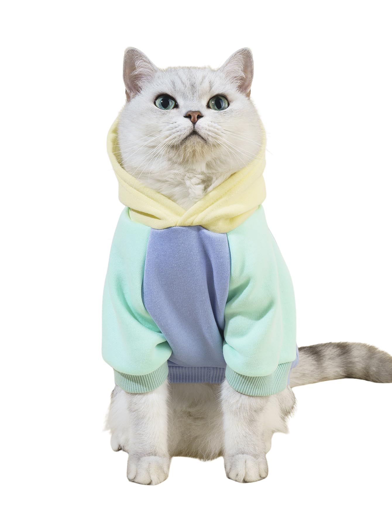 QWINEE Basic Dog Hoodie Sweatshirt Puppy Sweater Warm Cat Costumes Pet Clothes for Chihuahua Puppy Kitten Small Medium Dogs Yellow and Blue X-Small
