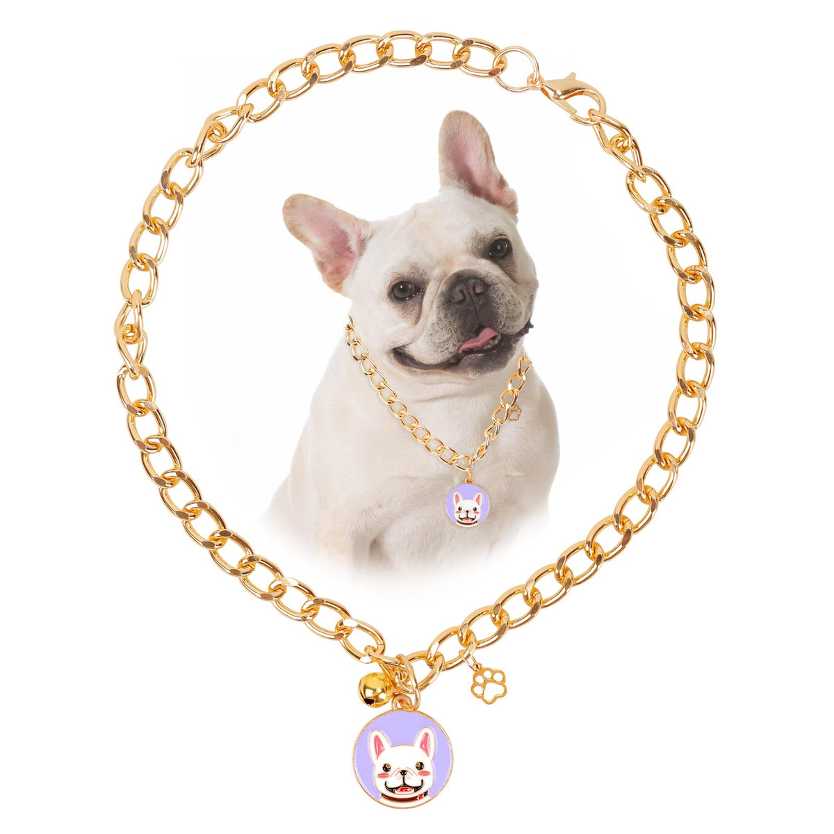 HOWWFALY Dog Collar and Dog Chain Necklace Stainless Steel Adjustable 18K Sliver Heart-Shaped Necklace for Small Pets Cats Kitten Puppy (Sliver, 12 inch)