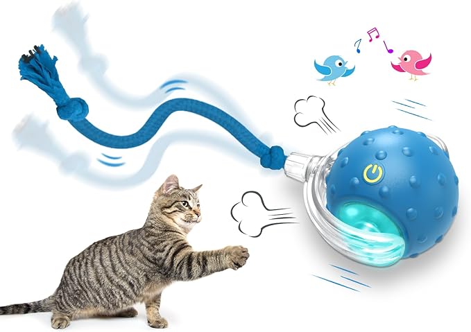 Giociv Interactive Cat Toys Ball for Indoor Cats Fast Rolling on Carpet, Chirping & Motion Activate Cat Toys (Blue)