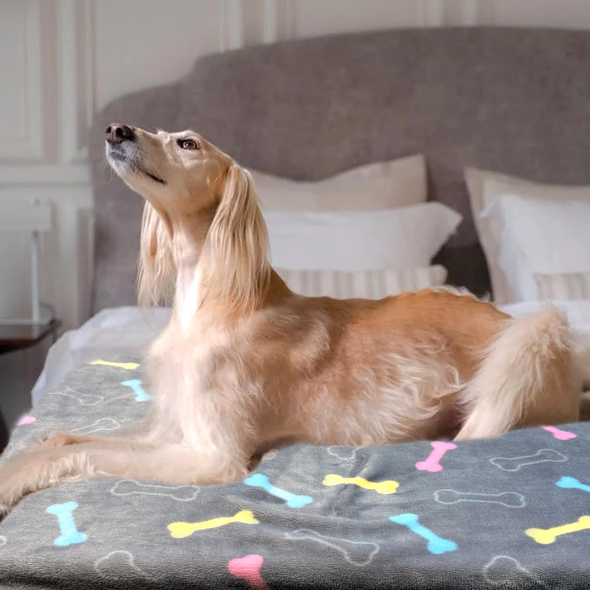 Dog Blankets for Medium Large Dogs Washable, 3 Pack Pet Blanket Washable 41" x 31", Fuzzy Soft Puppy Throw Cover for Kennel Crate Bed