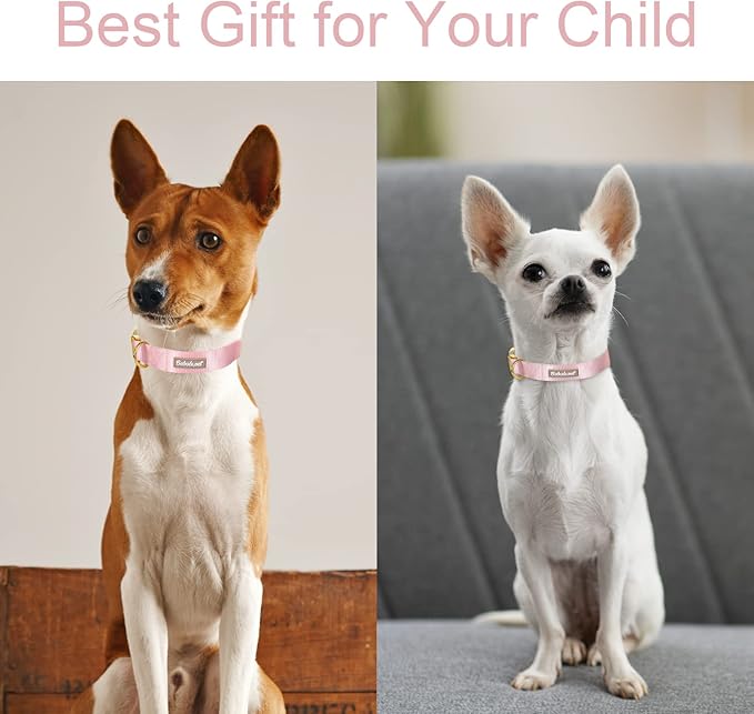 Nylon Dog Collar - Adjustable Pink Soft Webbing Dog Collars for Small Medium Large Dogs Boy Girl Puppy Collar with Safety Metal Buckle S