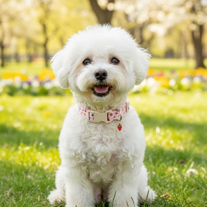 Britwicfr Pink Dog Collar, Female Dog Collar for Large Dogs with Strawberry, Cherry and Blueberry Print, Spring Summer Collar Made of Durable Soft Fabric, L