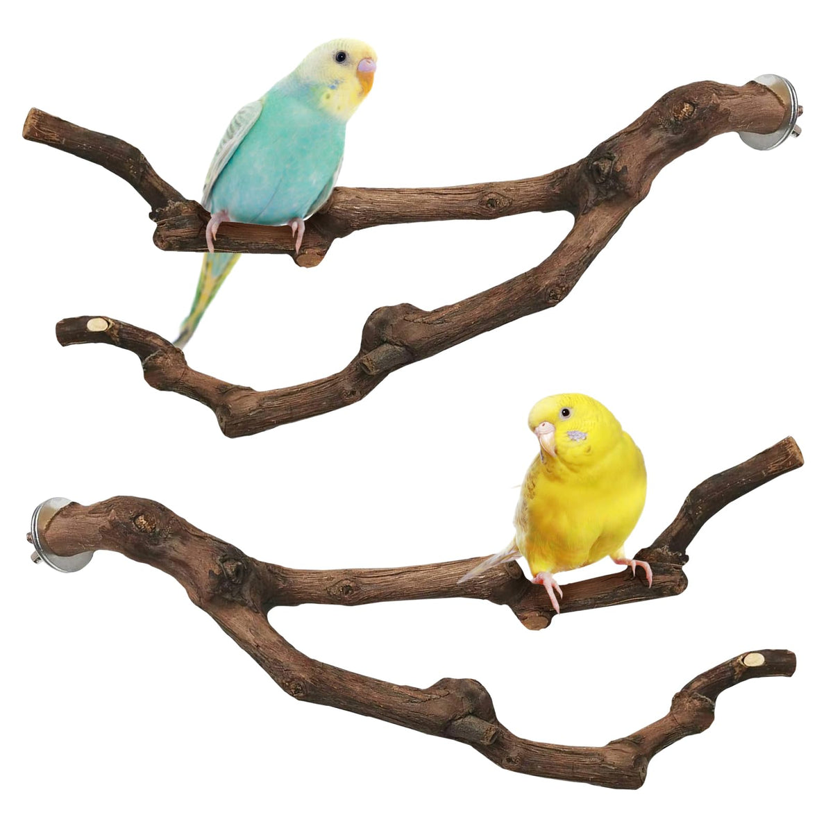 PINVNBY Natural Parrot Perch Grape Wood Bird Stand Pole Parakeet Paw Grinding Fork Chewable Climbing Branches Toy Bird Cage Accessories for Budgies Conures Cockatiels Lovebirds (2 PCS, 5.9IN)