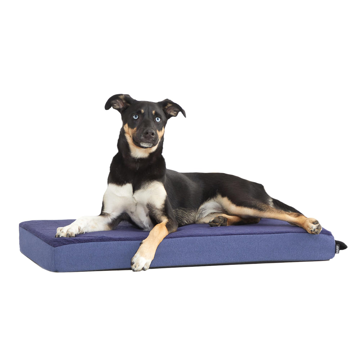 BarkBox Orthopedic Dog Bed - Small