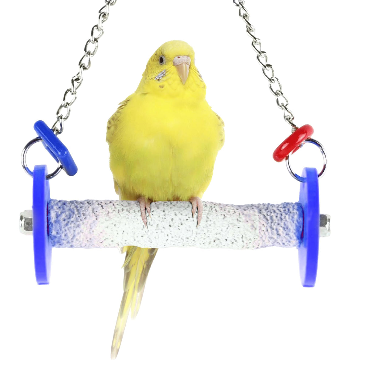 Sweet Feet and Beak Roll Bird Swing, African Grey, Medium, Blue