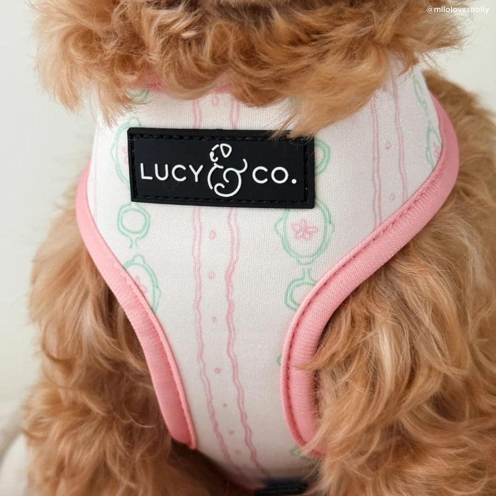 Lucy & Co. Reversible Dog Harness - Water-Repellent Neoprene, Dual-Print Design, Easy Swap Style, Adjustable Comfort Fit - Sipping Slowly Reversible Harness - Small