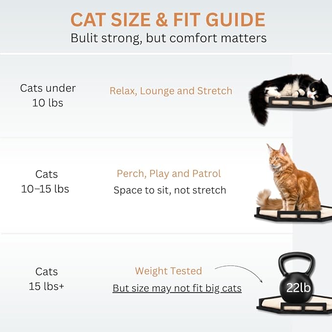 INICIO Cat Wall Shelves - Safe and Sturdy Cat Wall Furniture - Stylish Natural Wood Corner Shelf with 3 Steps for Cats up to 15lbs - Cushioned Perch and Stairs for Climbing and Playing - Black