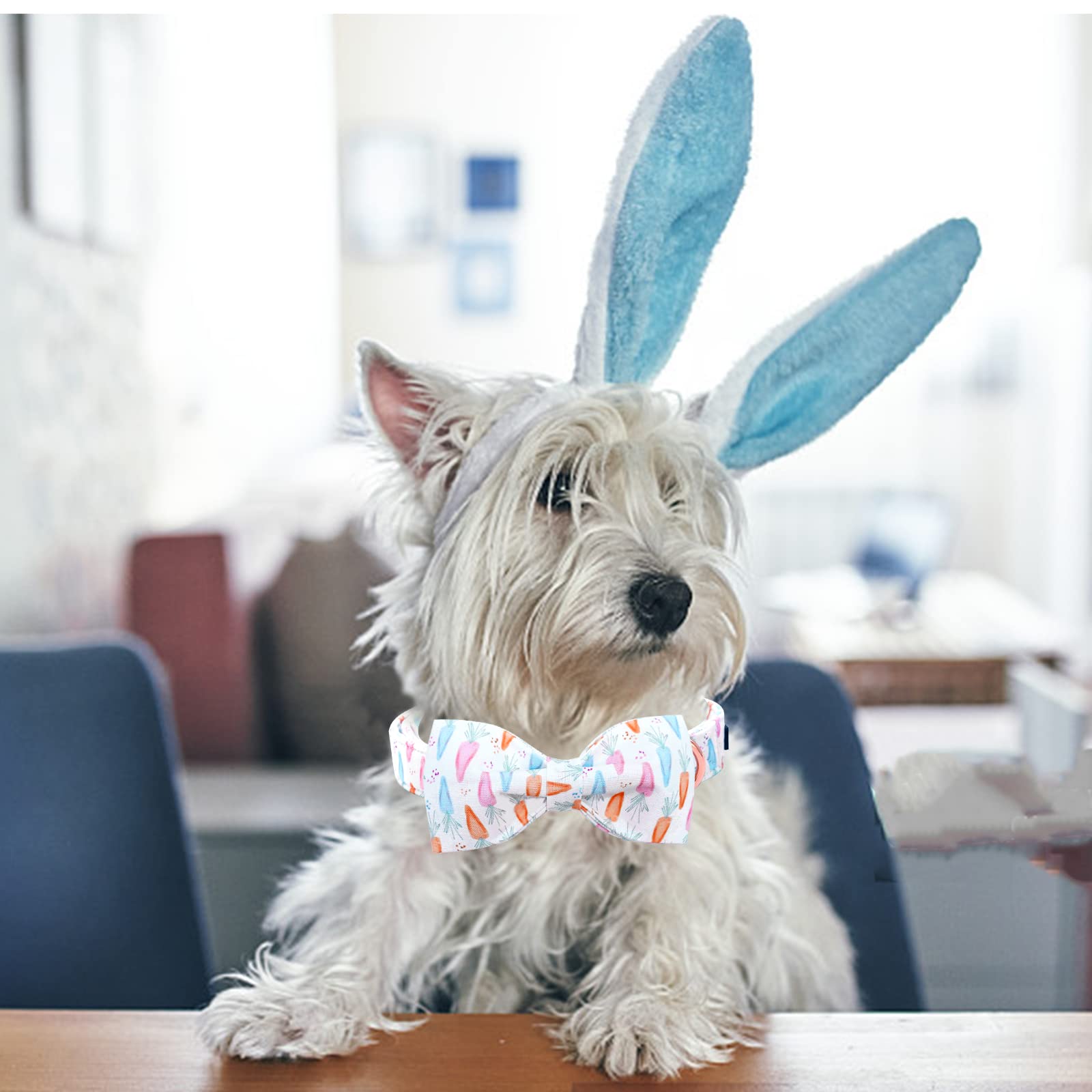 Lionheart glory Easter Dog Collar with Bow Tie Carrot Print Dog Collar Girl or Boy Soft Durable Adjustable Puppy Gift Collar Bows Spring Collar Dog Bow