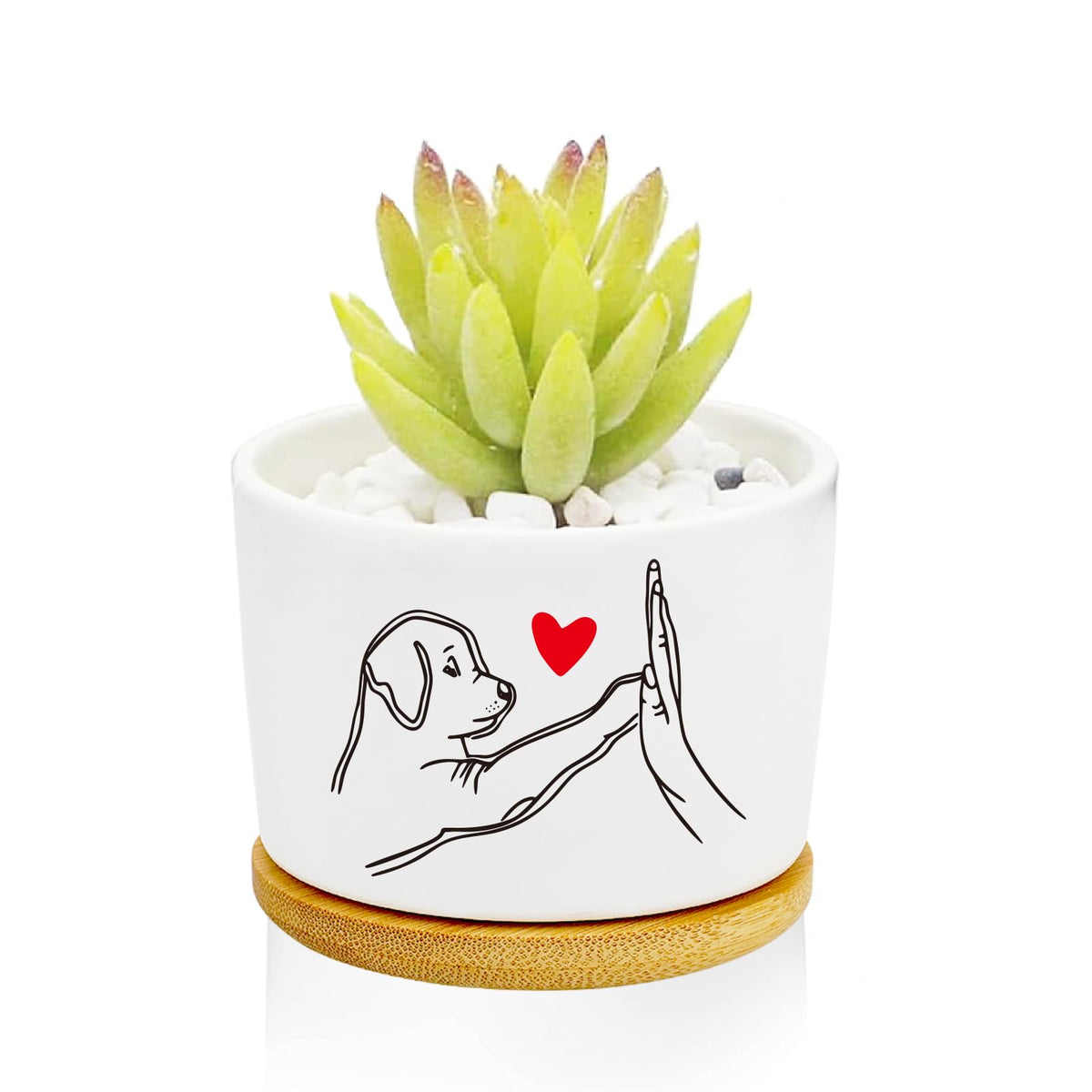 1Pcs Dog Window Garden Planter Pots with Drainage Tray, Ceramic Pot 3 Inch
