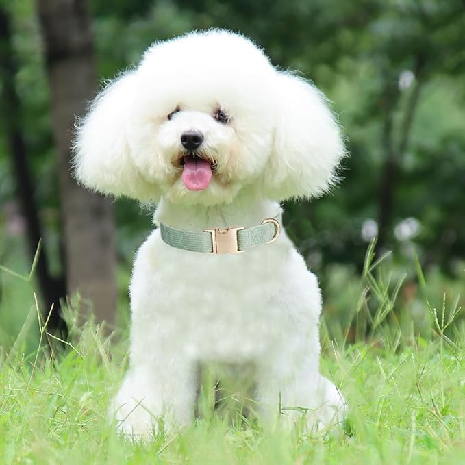 YUDOTE Soft Cotton Dog Collar with Metal Buckle Adjustable Heavy Duty Comfy Corduroy Collars for Small Medium Large Dogs,Grass Green,Medium