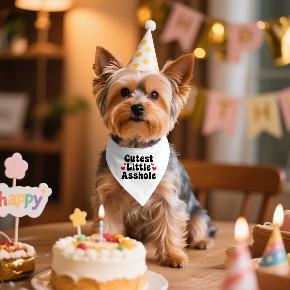 ZBBFSCSB Cutest Little Asshole White Dog Bandana, Cute Soft Pet Scarf Decor, Funny Pet Bandanas Accessories for Outdoor Camping Playtime, Birthday Thanksgiving Gifts for Pet Lover Dog Mom Dad