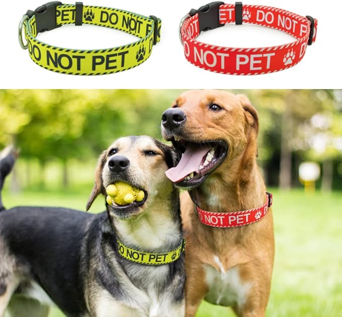 DWOOFG Dog Collar for DO NOT PET, Sturdy Durable with Buckle, Yellow Dog Collars for Small Medium Large Dogs, Premium Adjustable Polyester Pet Collar