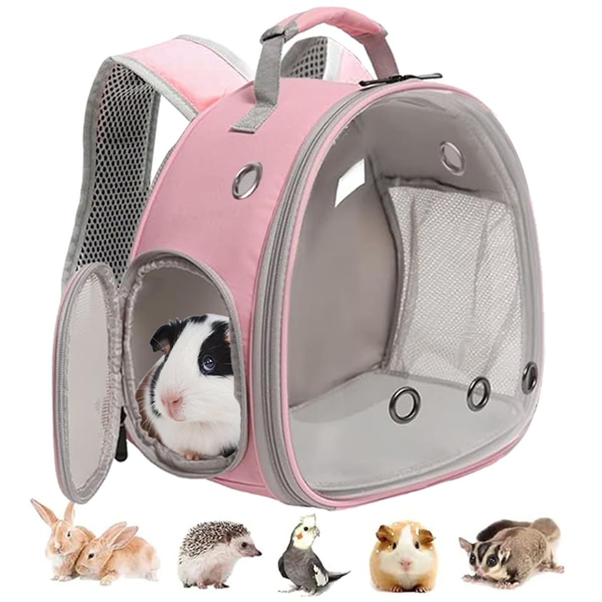 Guinea Pig Carrier, Small Animal Bird Rabbit Turtle Carrier Bag, African Hedgehog Portable Travel Carrier Outdoor Hangbag, Bird Rabbit Guinea Pig Squirrel Carrier