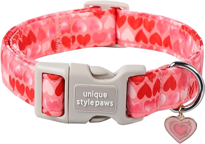 Unique style paws Dog Collar Metal Buckle Collar for Autumn Winter Christmas for Small Medium Large Boys Girls Dogs — S