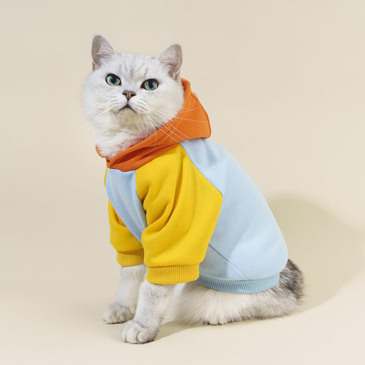 QWINEE Basic Dog Hoodie Sweatshirt Puppy Sweater Warm Cat Costumes Pet Clothes for Chihuahua Puppy Kitten Small Medium Dogs Orange and Blue Small