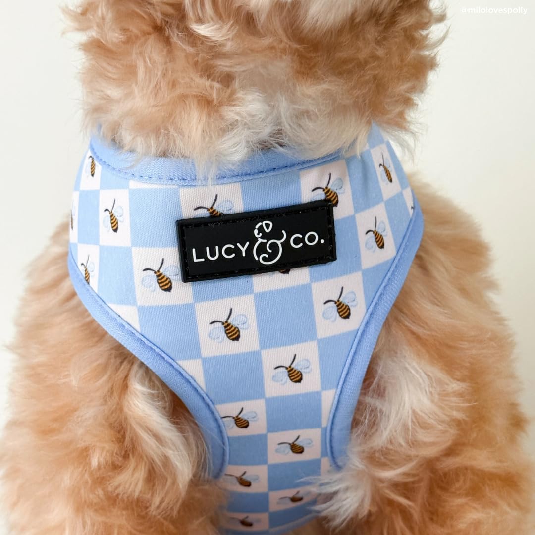 Lucy & Co. Reversible Dog Harness - Water-Repellent Neoprene, Dual-Print Design, Easy Swap Style, Adjustable Comfort Fit - Bumbling Around Reversible Harness - X-Small