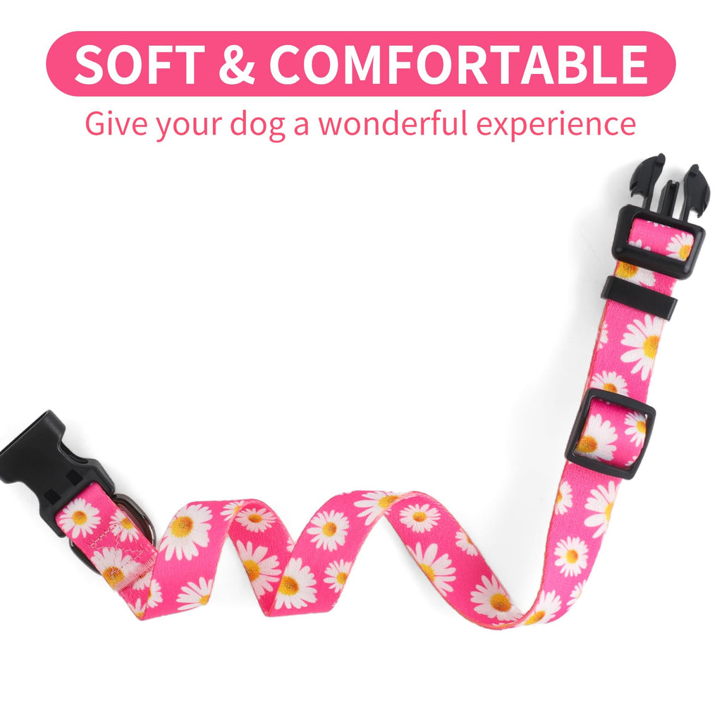 QQPETS Adjustable Soft Dog Collar: Print Flower Pink Multicolor Cute Patterns for XS Small Medium Large Pet Girl Boy Puppy Walking Running Training (XS, Small Daisies)