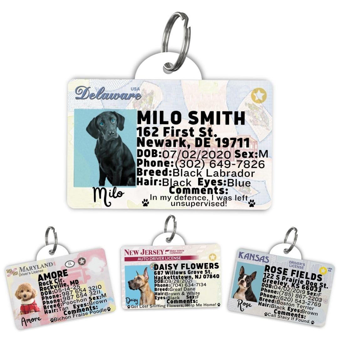 Dog Tags Personalized, Dog ID License Tag for Pets (Washington, Tag)