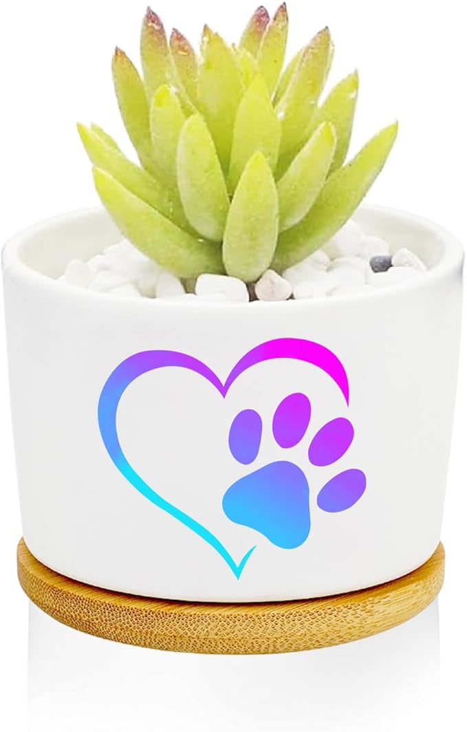 1Pcs Dog Window Garden Planter Pots with Drainage Tray, Ceramic Pot 3 Inch
