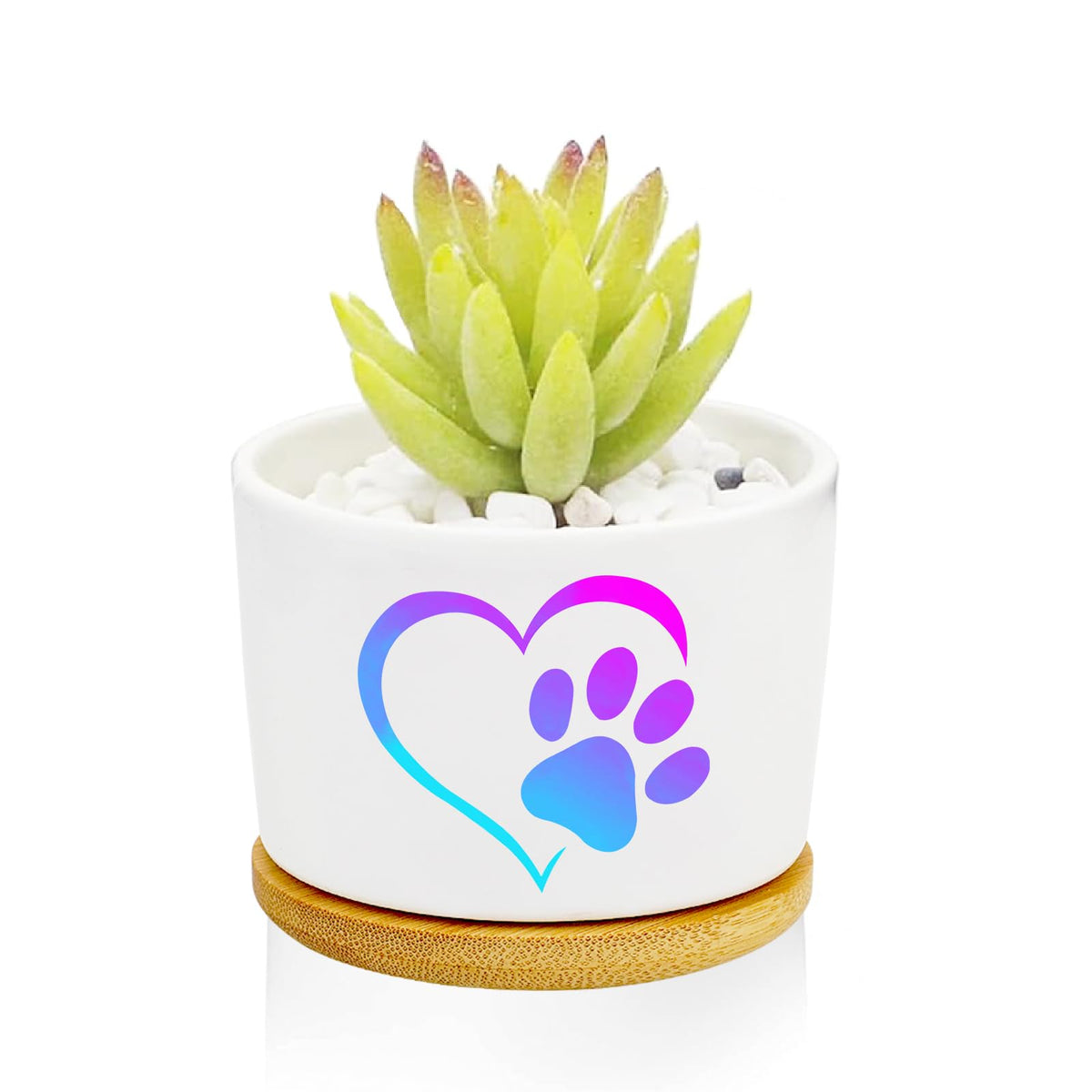 1Pcs Dog Window Garden Planter Pots with Drainage Tray, Ceramic Pot 3 Inch