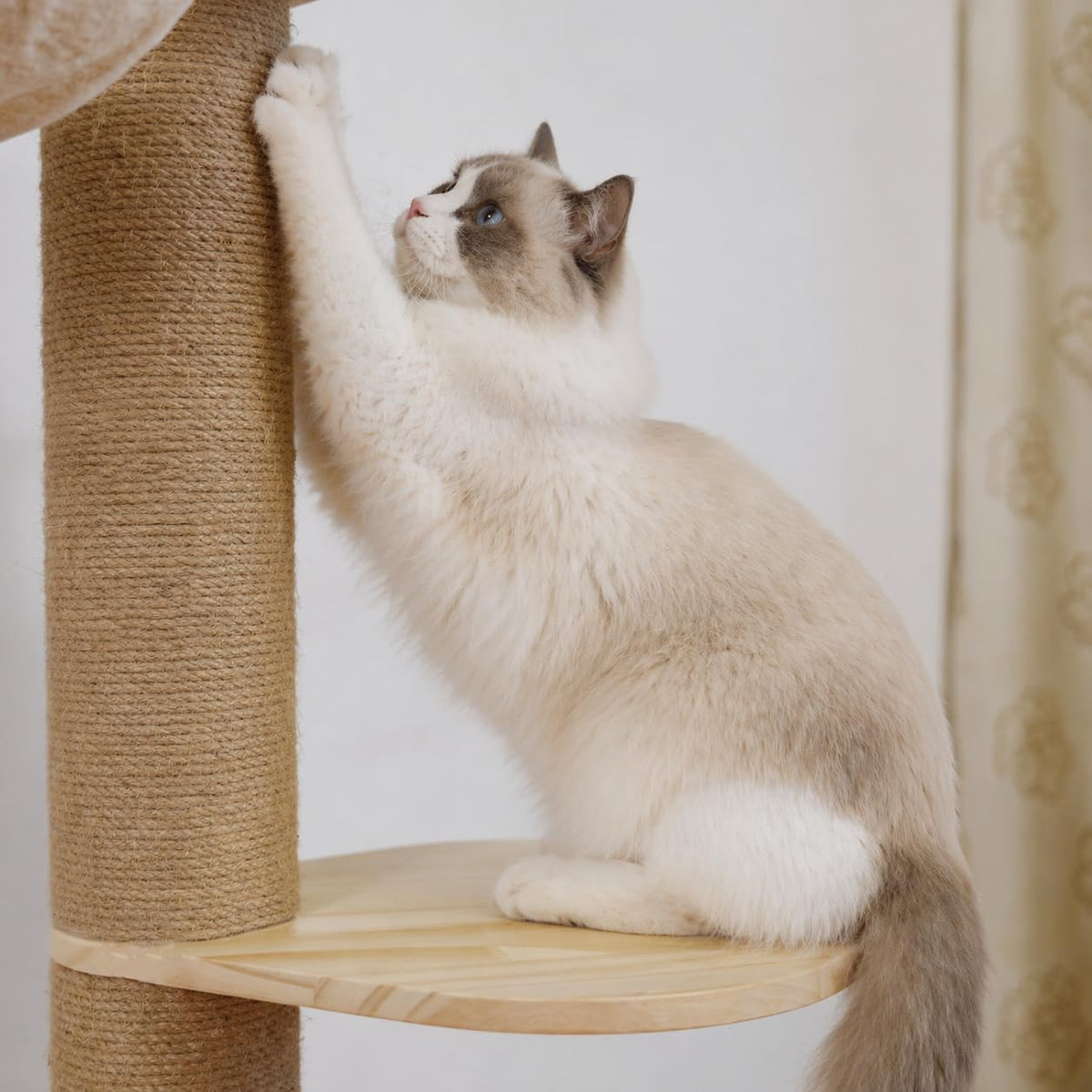 Erinnyees Cat Tree, Floor to Ceiling Cat Tree Height (86-106 in) Adjustable Cat Tower 6 Tier Hemp Scratching Post Cats Activity Center Removable Washable Pads