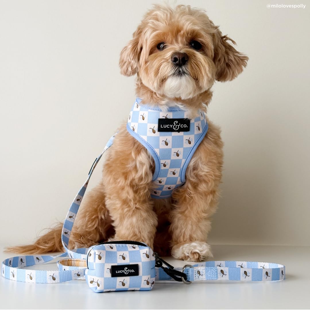 Lucy & Co. Reversible Dog Harness - Water-Repellent Neoprene, Dual-Print Design, Easy Swap Style, Adjustable Comfort Fit - Bumbling Around Reversible Harness - X-Small