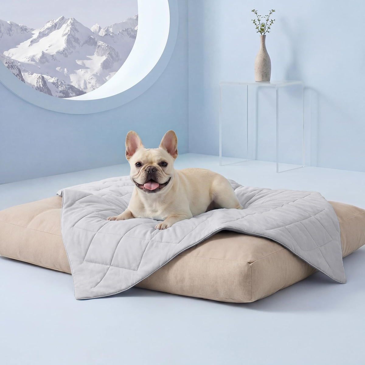 Luciphia Silky Cooling Dog Blanket Q-MAX>0.4 Throw Cat Mat Light Grey,29x40