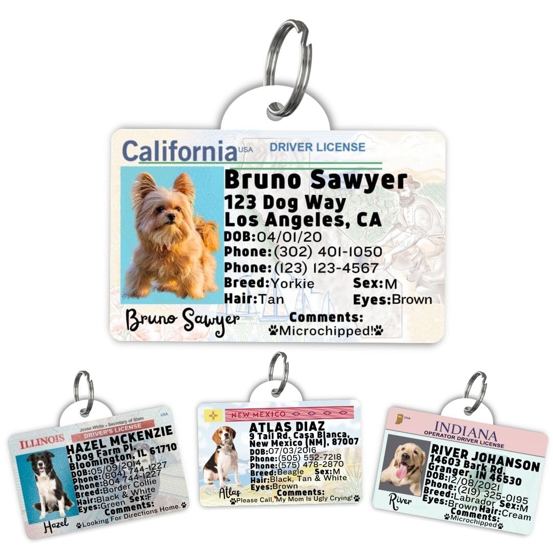 Dog Tags Personalized, Dog ID License Tag for Pets (Washington, Tag)