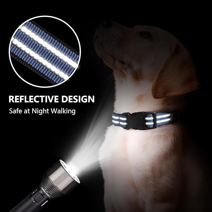 Martingale Dog Collar, Adjustable Nylon Reflective Collar with Quick Release Buckle (Grey Blue, Small)