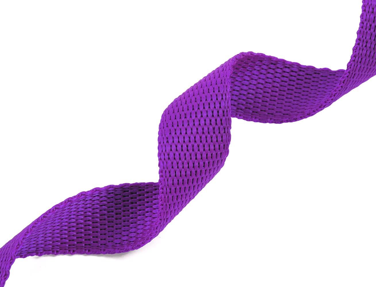 AMAGOOD Dog/Puppy Obedience Recall Training Agility Lead-15 ft 20 ft 30 ft 50 ft Long Leash-for Dog Training,Tie Out,Play,Safety,Camping (30Feet x 1Inch, Purple)