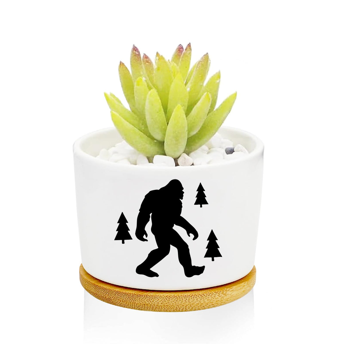 1Pcs Dog Window Garden Planter Pots with Drainage Tray, Ceramic Pot 3 Inch