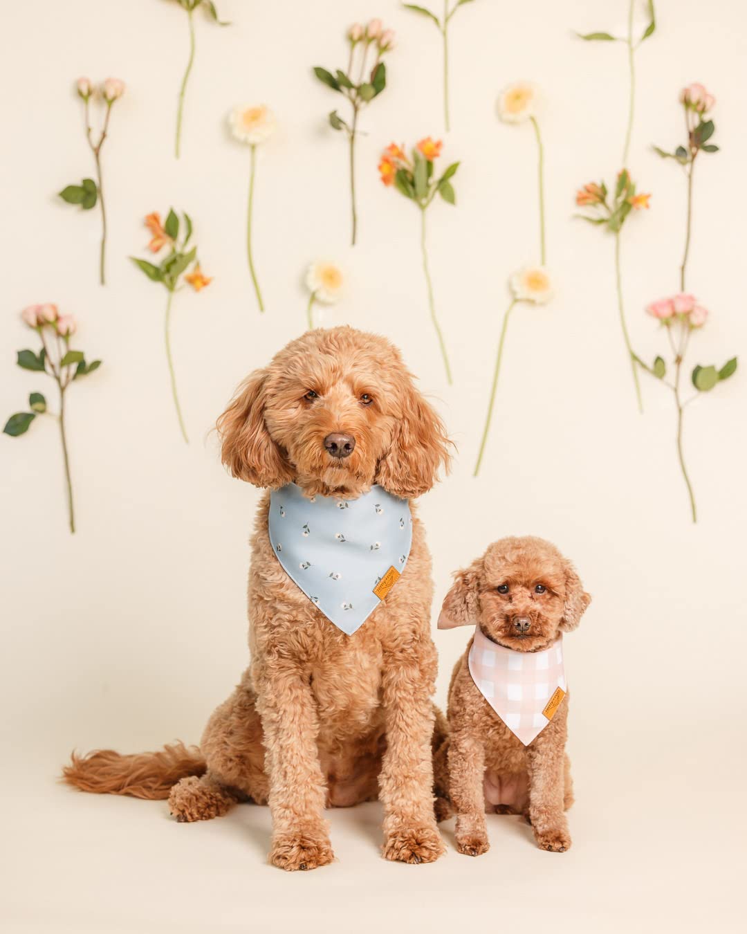 Remy+Roo Emily Spring Dog Bandanas Small - 4 Pack - Plaid