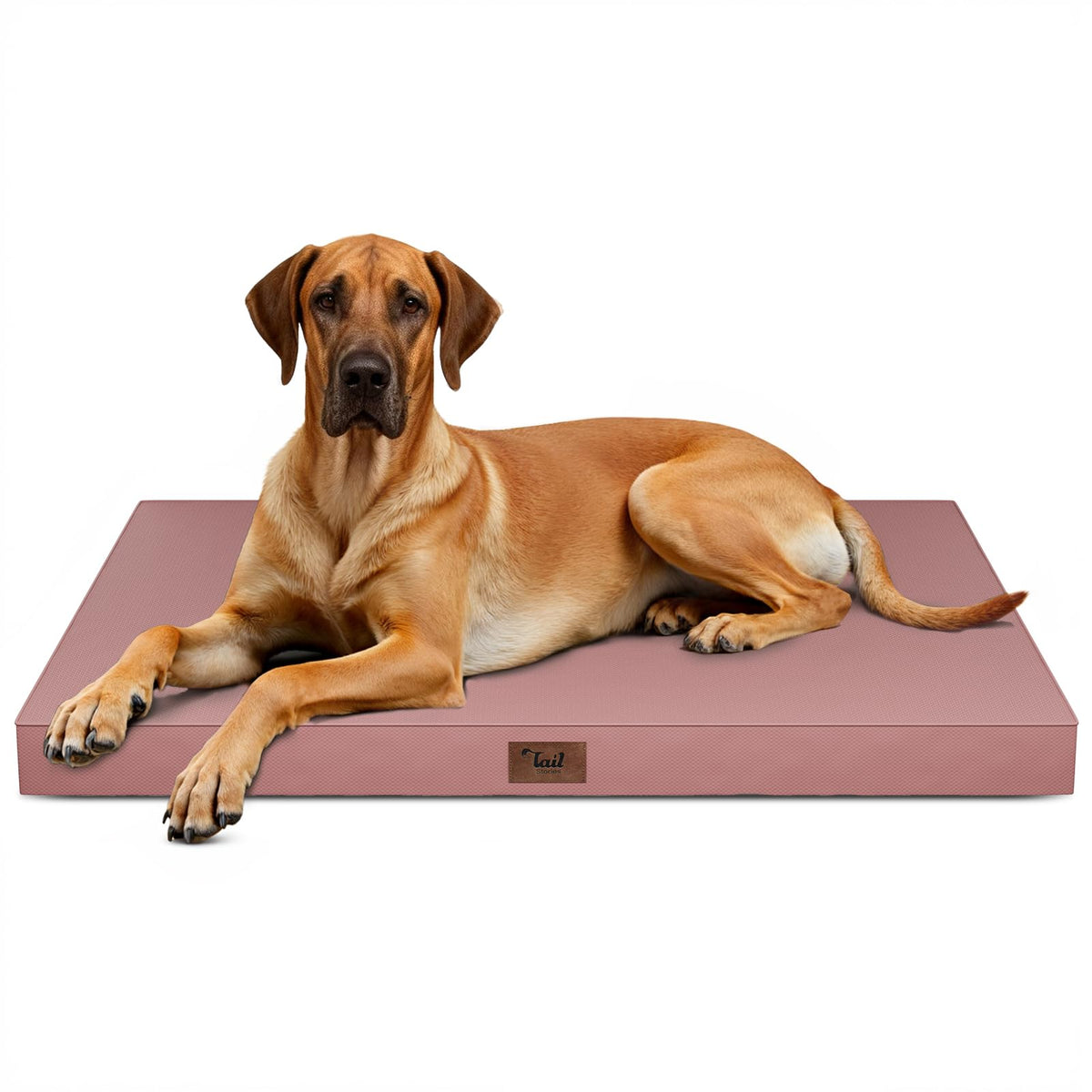 Tail Stories Jumbo Waterproof Orthopedic Dog Bed for Extra Large Dogs
