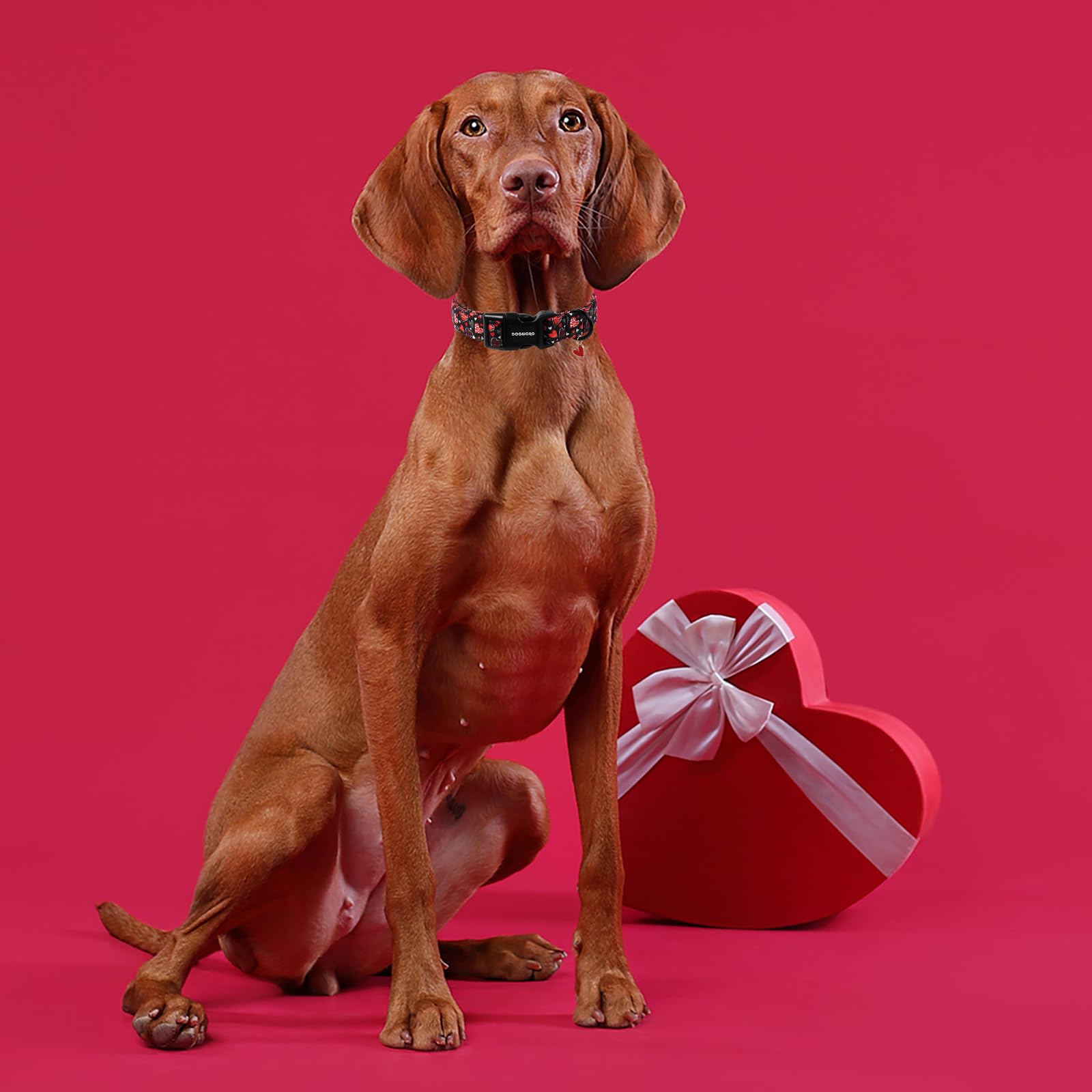DOGWONG Valentine's Day Dog Collar, Red Heart Dog Collars Female or Male Adjustable Cotton Pet Collar with Quick Release Buckle for Small Medium Large Dogs,XS