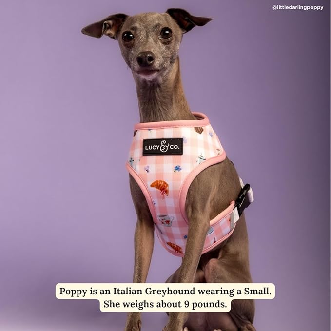 Lucy & Co. Reversible Dog Harness - Water-Repellent Neoprene, Dual-Print Design, Easy Swap Style, Adjustable Comfort Fit - Sipping Slowly Reversible Harness - X-Large