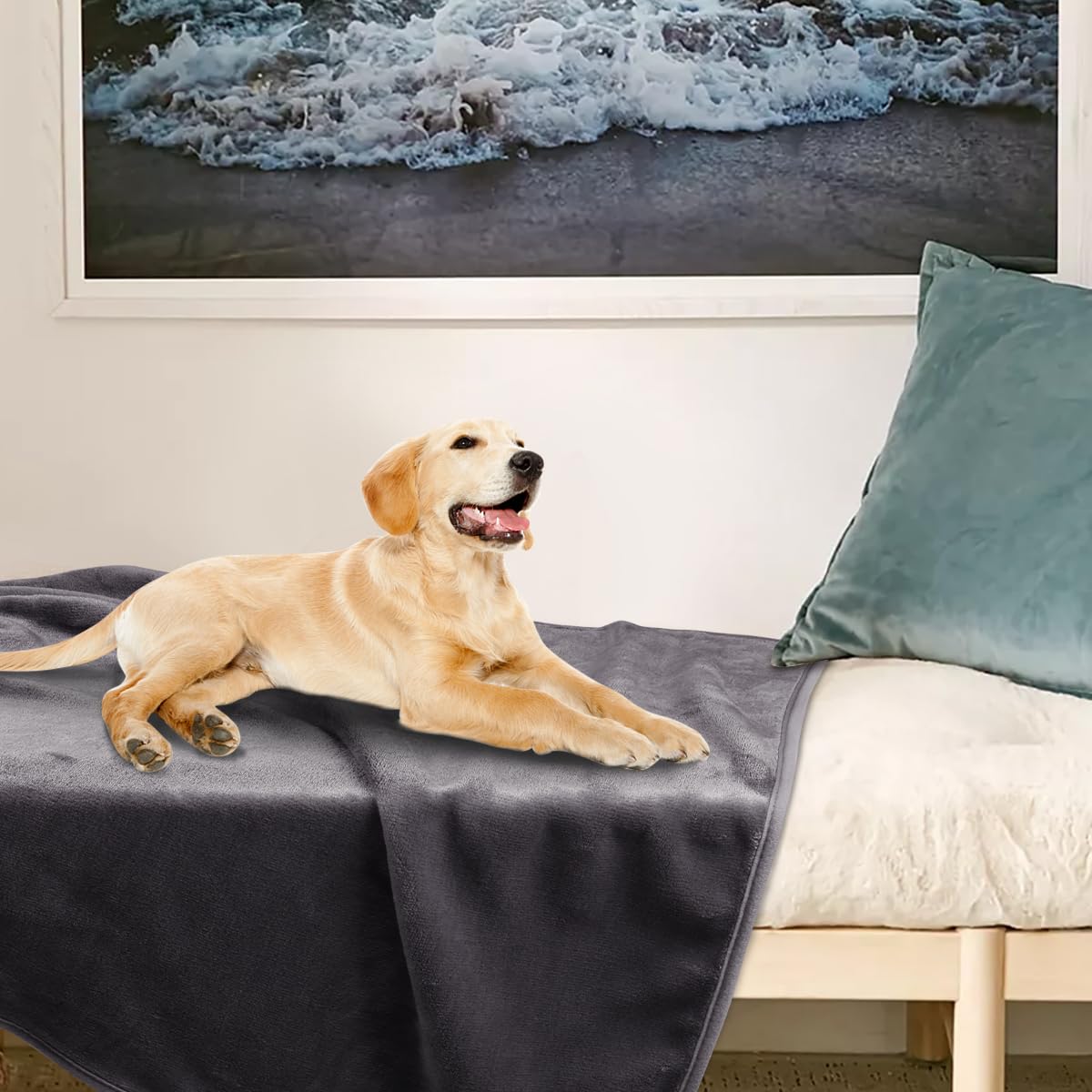 Onarway Dog Blanket Washable for Puppy: 4 Packs Dog Blankets 40”x28”