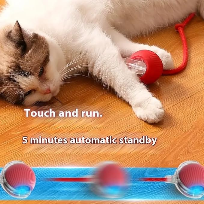 Cat and Small Dog Toy Ball with Tail Rope, Red