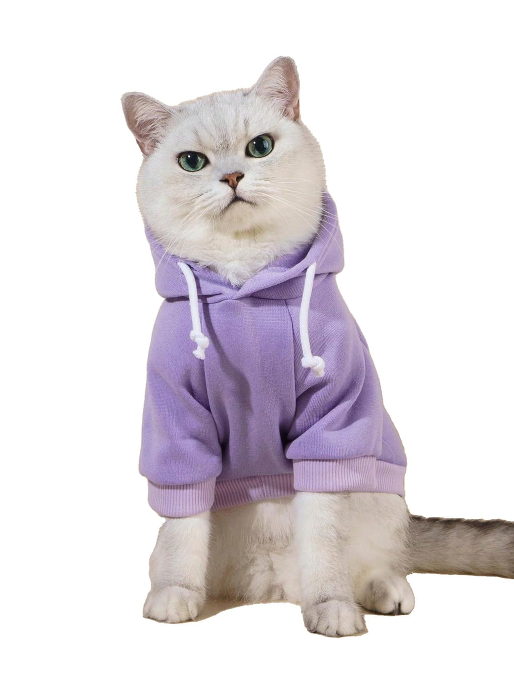 QWINEE Basic Dog Hoodie Sweatshirt Puppy Sweater Warm Cat Costumes Pet Clothes for Chihuahua Puppy Kitten Small Medium Dogs Mauve Purple Medium