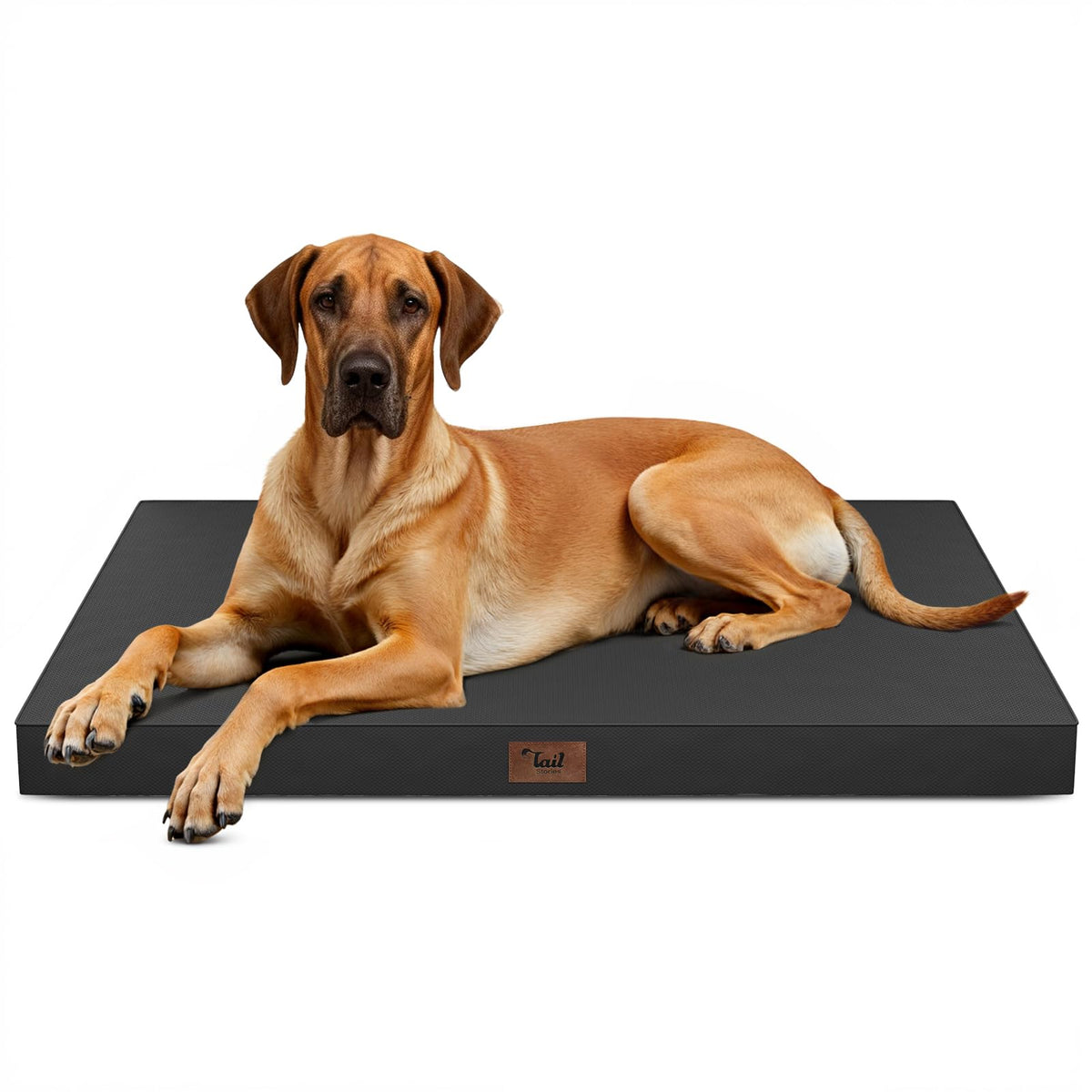 Tail Stories Jumbo Waterproof Orthopedic Dog Bed for Extra Large Dogs