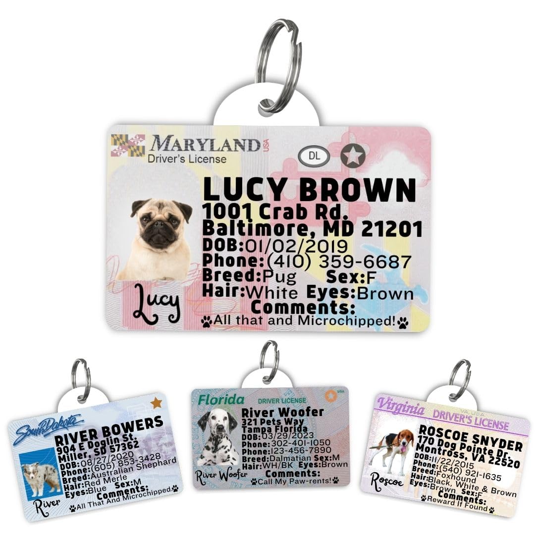 Dog Tags Personalized, Dog ID License Tag for Pets (Washington, Tag)
