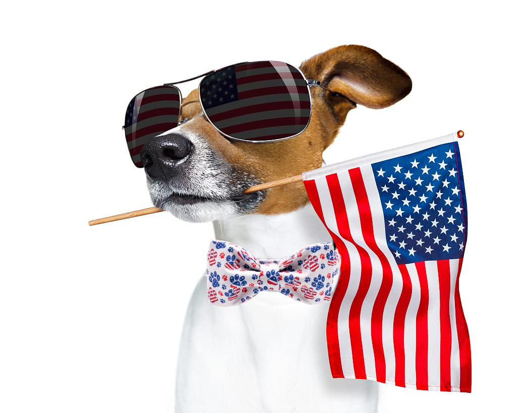 Lionheart Glory American Flag Dog Collar - 4th of July Collar with Adjustable Bow for Large Dogs