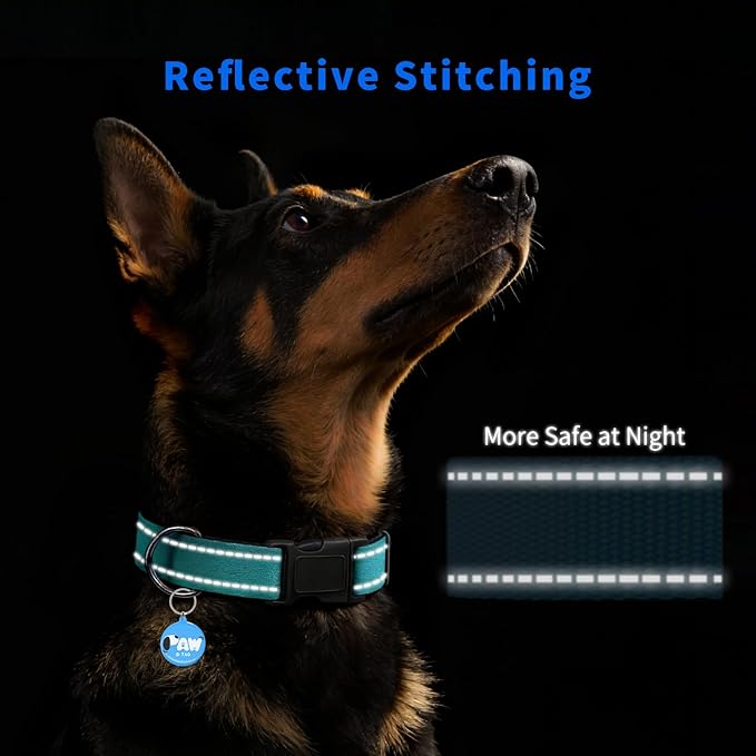 Pawduct Personalized Collar with Smart ID Tag, Large, Mint Green