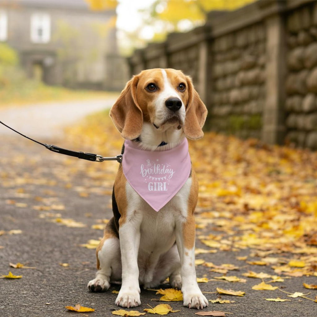 Birthday Girl Dog Bandana - Pink, Funny, Cute Triangle Scarf for Small, Medium, Large Dogs - Pet Accessories, Gift for Dog Lovers (D31)