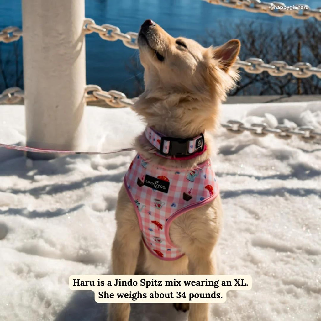 Lucy & Co. Reversible Dog Harness - Water-Repellent Neoprene, Dual-Print Design, Easy Swap Style, Adjustable Comfort Fit - Sipping Slowly Reversible Harness - Small
