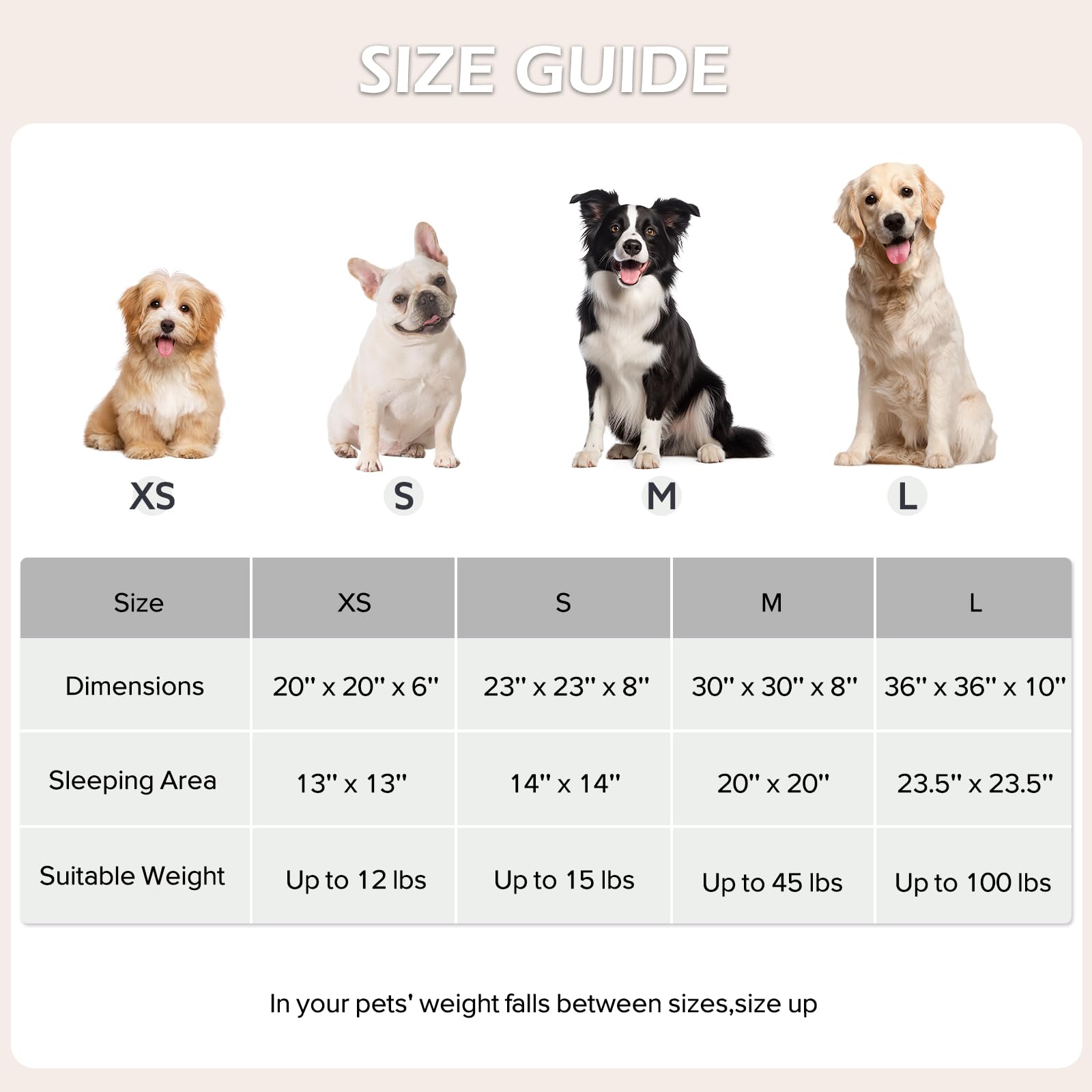JOEJOY Jacquard Donut Round Dog Beds Large Sized Dog,Grey 36x36x8in, Removable Washable Cover, Cute Pattern, Ultra Soft Fluffy Calming Pet Bed with Thick Supportive Bolster