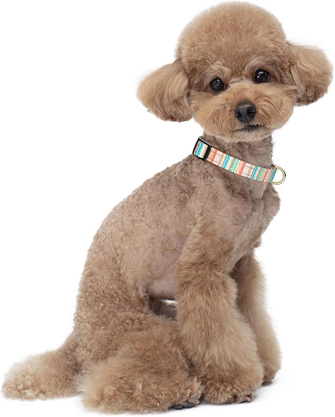 TMOODEL Reflective Dog Collar, Cute Dog Collar for Small Dogs, Soft Nylon Puppy Collar for Boy and Girl Female Dogs, Adjustable Pet Collars with Quick Release Buckle, Colorful Watercolor Art