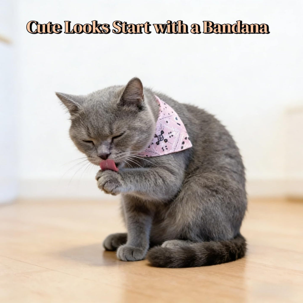 CWYZA 4 Pack Adjustable Cat Bandana Collar Set,(Neck Fits 7–9IN)