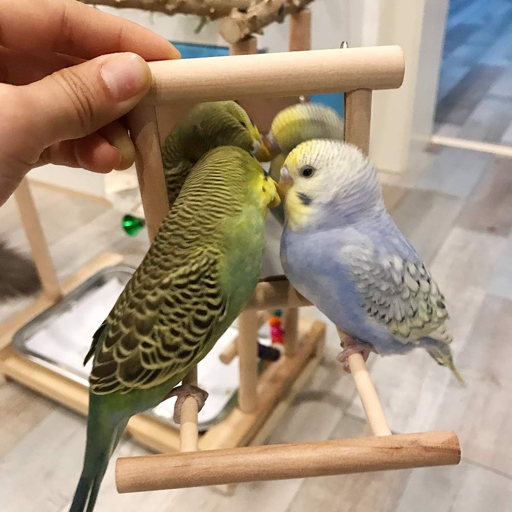 HANZE Bird Mirror Swing with Rattan Ball | Natural Wood Parrot Toy with Metal Hooks for Macaws, Cockatiels, Parakeets, Lovebirds | Safe Chewing & Mental Stimulation - 2 Pack