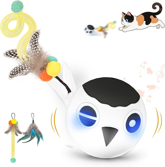 KiwiLove Cat Toys, Interactive Cat Toys for Indoor Cats, USB Rechargeable Electronic Smart Exercise Kitten Toy, Motion Chirping Activated Moving Ball (Blue)